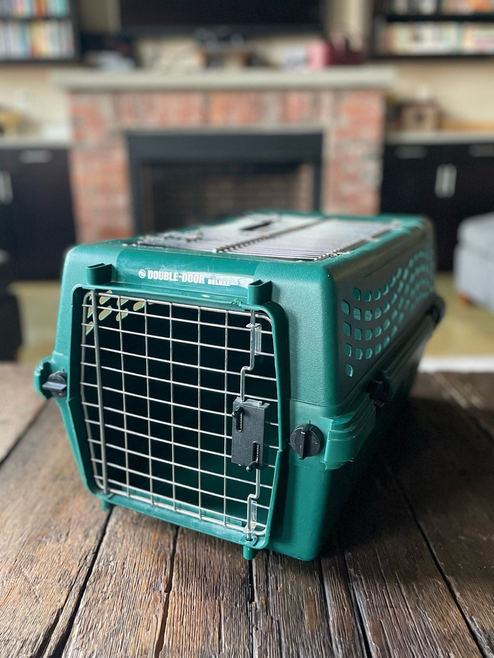 DOUBLE-DOOR Deluxe Pet Carrier in Teal Green - Cat Carrier - Small Dog Carrier - Picture 2 of 16